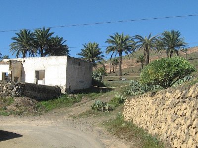 Wanderung von Haría zum Mirador del Bosquecillo und retour – „rund um Haría“